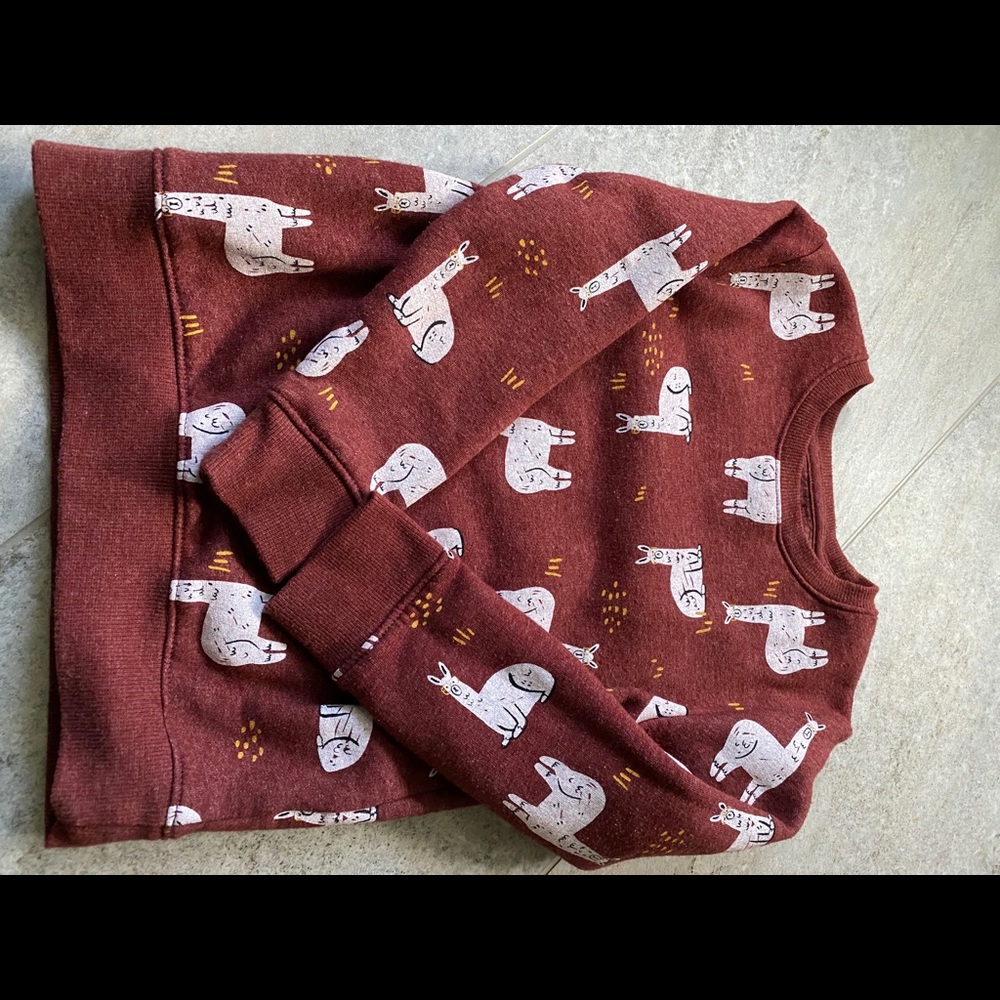 Boys sweatshirt
